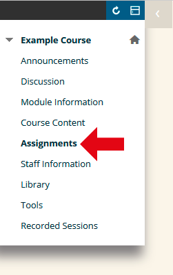 turnitin® similarity