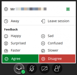 Name blurred out. Away, Leave session, happy sad surprised confused faster slower agree disagree