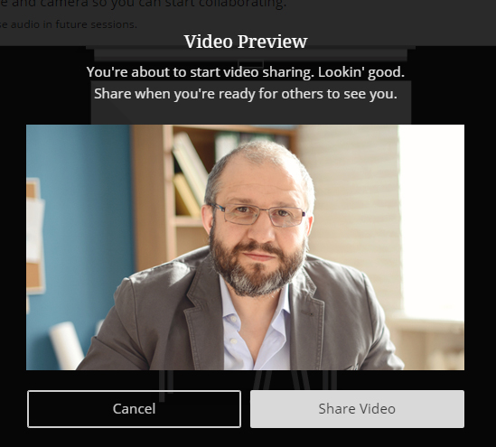 Collaborate interface showing a video preview from a webcam. There is a person with glasses and a beard in the example image.