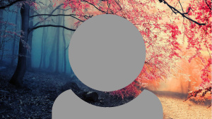 A grey person icon showing just head and shoulders with a left right split image. On the left a cool blue forest. The right warm red trees background.