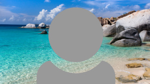 A grey person icon showing just head and shoulders with a blue sea and yellow beach background.