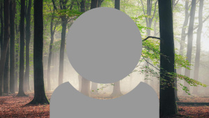 A grey person icon showing just head and shoulders with a misty woods background.