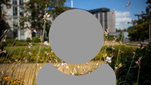 A grey person icon showing just head and shoulders with a Highfield University building background.