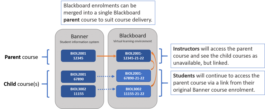 Banner module enrolments are merged into a single "parent" Blackboard course