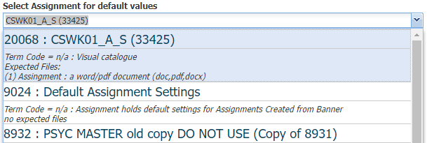 e assignments southampton